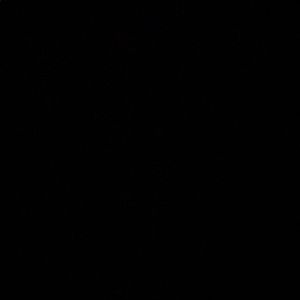 Meet your Posher, Eva